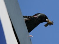 2017-05-07 Knockhill SMRC 027