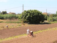 2012-06-21 Valencia 001